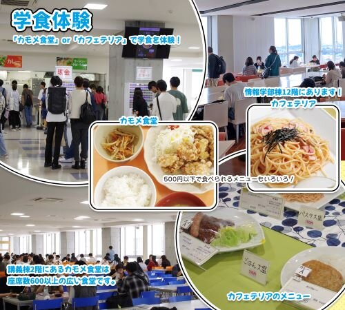 学食体験