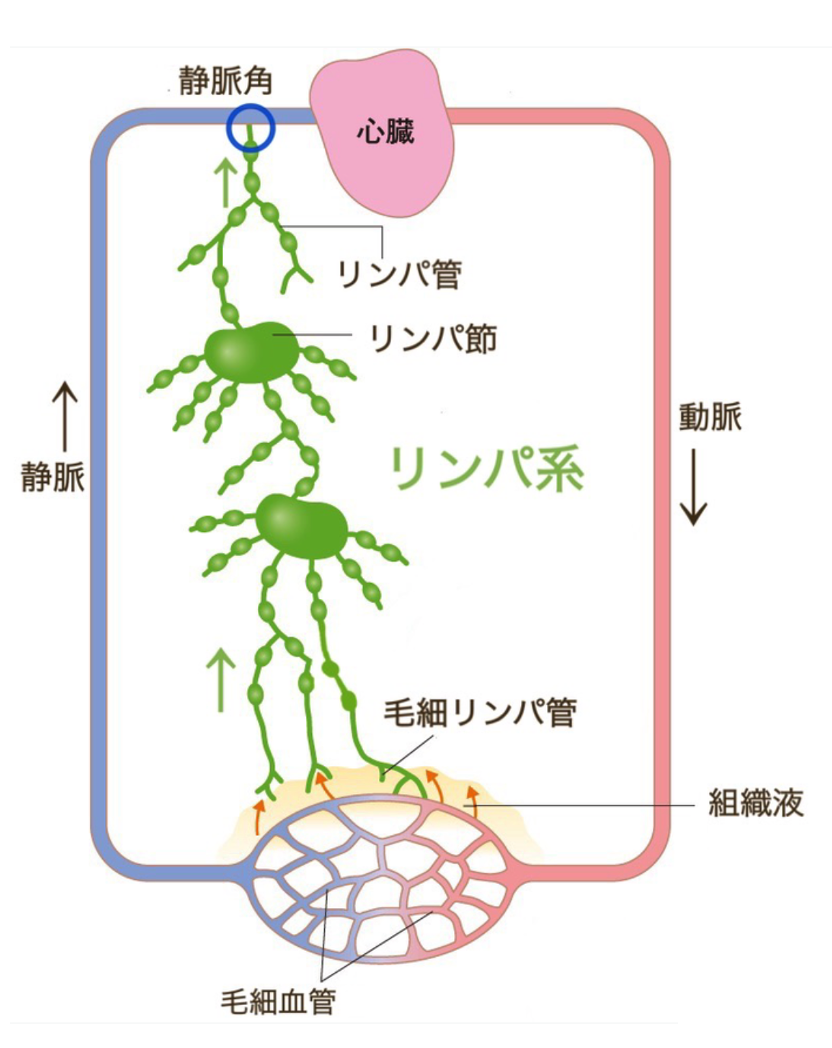 図1