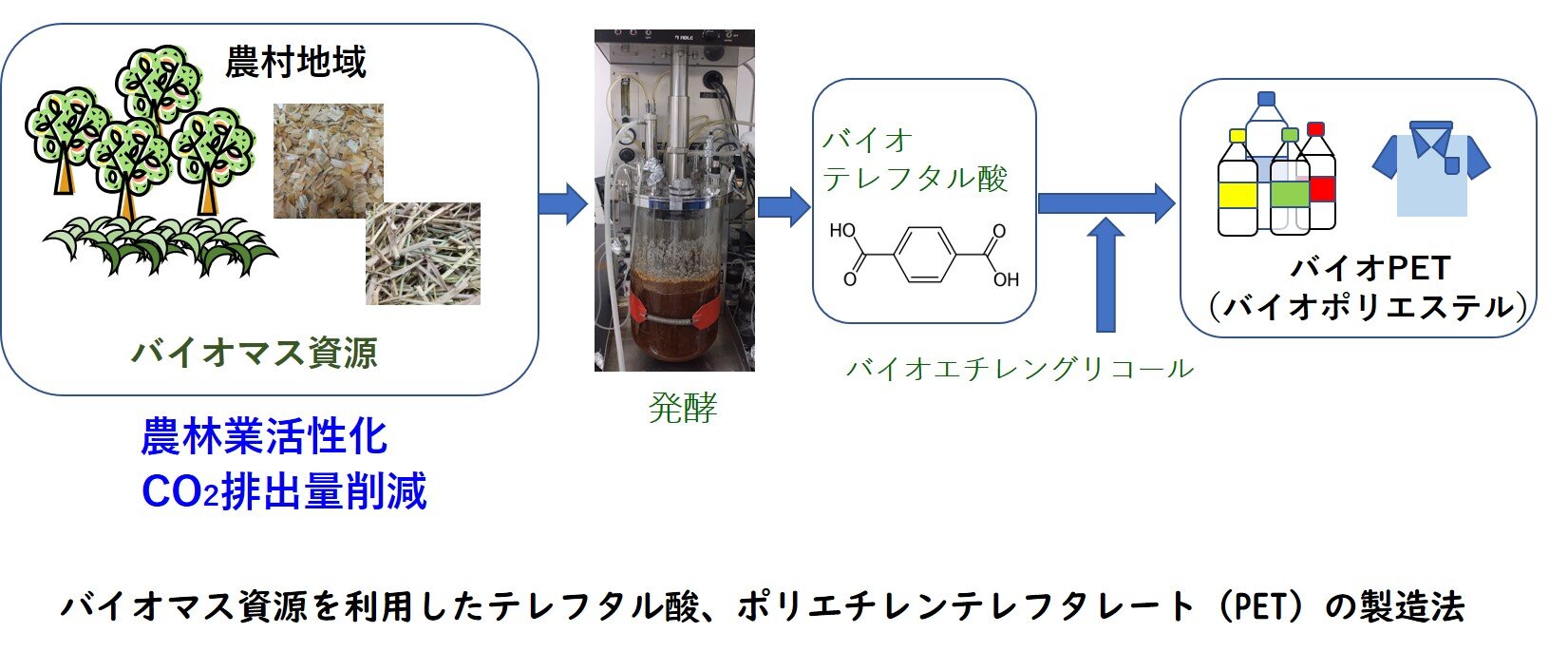 図2　バイオマス資源を利用したテレフタル酸、ポリエチレンテレフタレート（PET）の製造法