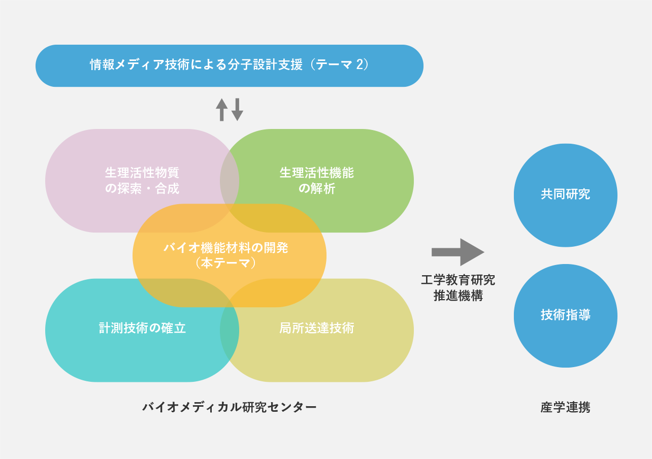 図：研究体制